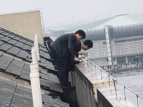 说明: 微信图片_20190328140847